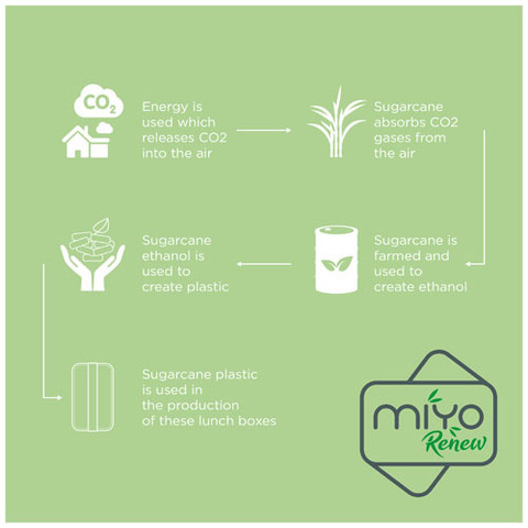 Однослойный пищевой контейнер MIYO Renew