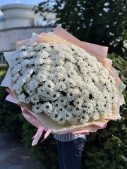 Букет из 35 кустовых хризантем сорта "Рейган белый"