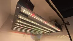 В150хД80хШ60 ГроуБокс FLASHER 200W LED SUPERSILENT