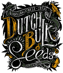 White tahoe cookies fem