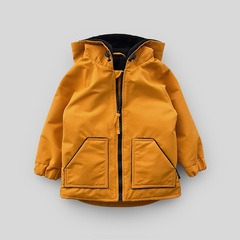 Куртка (golden yellow)