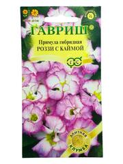 Примула махровая Роззи с каймой (Гавриш)
