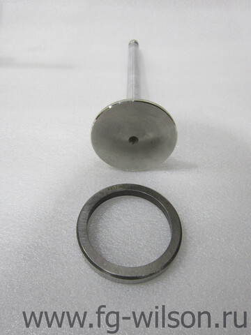 Комплект седел клапанов и клапанов / VALVE KIT АРТ: 10000-82707