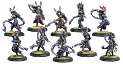 Satyxis Raiders BOX