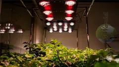 LED светильник SKELETON 600m v3.0