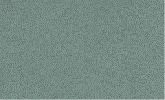 Велюр Tudor (LE) mint (Тудор минт)