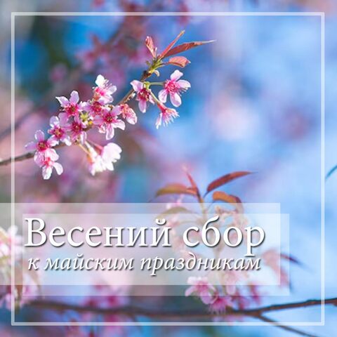 Весенний сбор (закрыт)
