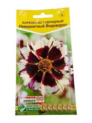Кореопсис гибридный Невероятный Водоворот (Евросемена)