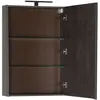 Aquanet Эвора 182996 Зеркальный шкаф