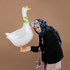 Шар К Ходячая фигура, Гусь в зеленом шарфе, Белый (полимерная пленка), 34