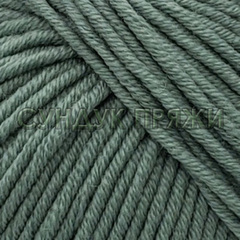 ZARA Plus 461