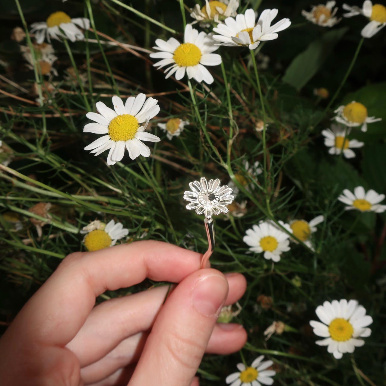 The Last of us