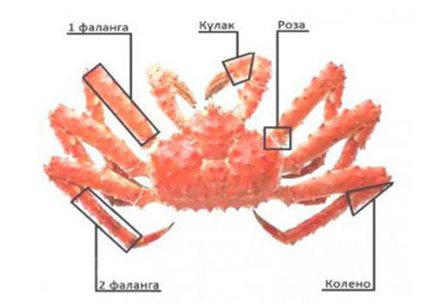 Мясо камчатского краба, вторая фаланга, 400г