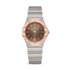 Omega 13120286013001