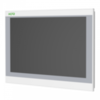 V315E