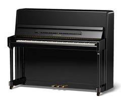 Samick JS118D