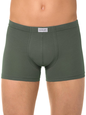 Мужские трусы Basic MSH 127 Diwari