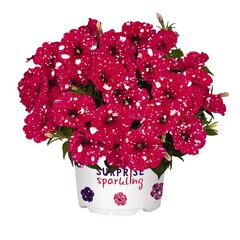 32105 Петуния SPARKLING RED (Весна 2026)