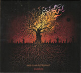 GOD IS AN ASTRONAUT:  Embers