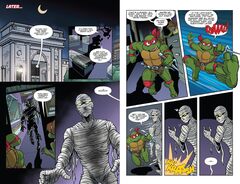 Teenage Mutant Ninja Turtles: Saturday Morning Adventures Vol. 6 (На английском языке)