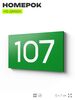 Номер на дверь квартиры 107, табличка на дверь для офиса, кабинета, аудитории, склада, зеленая 120х70 мм, Айдентика Технолоджи