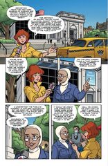 Teenage Mutant Ninja Turtles: Saturday Morning Adventures Vol. 6 (На английском языке)