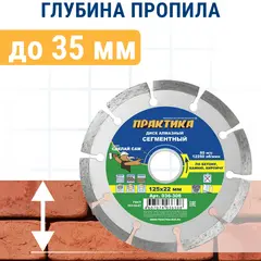 Диск алмазный сегментный ПРАКТИКА 