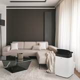Кондиционер мобильный Ballu Smart Wind BPAC-07 SW/N1 — фото 10