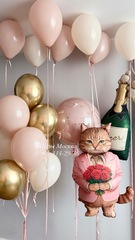 Кот с воздушными шарами