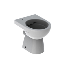 Geberit Renova 500.480.01.2 Напольный унитаз вертикальный смыв , горизонтальный выпуск, полузакрытая форма, Rimfree: T=49см, Белый фото