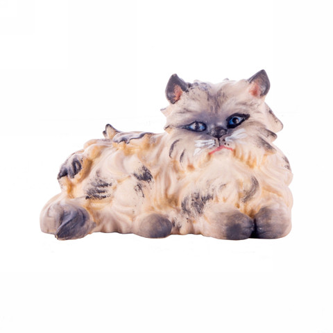 Персидская кошка