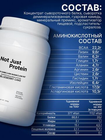 Протеин сывороточный с черничным пирогом Not Just Protein