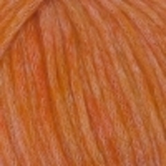 5020