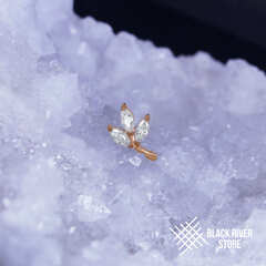 Fondness Crystal PVD Rose