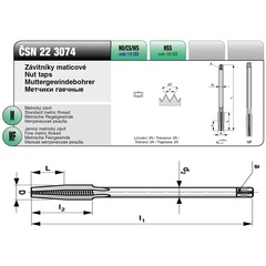 Метчик М10х1,25 (Гаечный) CSN223074 115CrV3 6h(2N) 12P 160мм a=6,3 Bucovice(CzTool) 119101