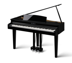 Kawai DG30