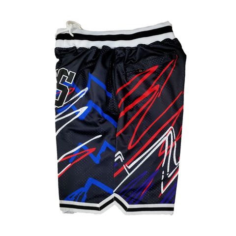 Баскетбольные шорты 'Chicago Bulls/Multicollor' 
