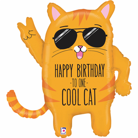 Шар Б Фигура, Классный кот, Happy birthday, 26