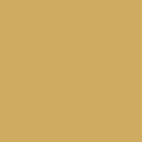 41zero42 Pixel41 Curry 11.5x11.5