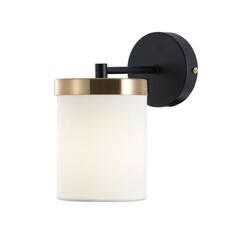 Настенный светильник Arte Lamp MODELLO A4099AP-1BK
