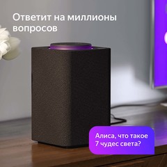 Умная колонка с Алисой Яндекс Станция, черная (YNDX-0001B)