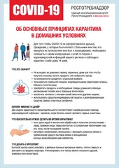 Наклейка Об основных принципах карантина в домашних условиях 803