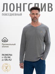 Лонгсливы
