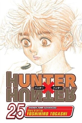 Hunter x Hunter. Vol. 25 (На английском языке)