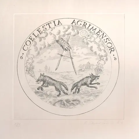 Coelestia Agrimensor