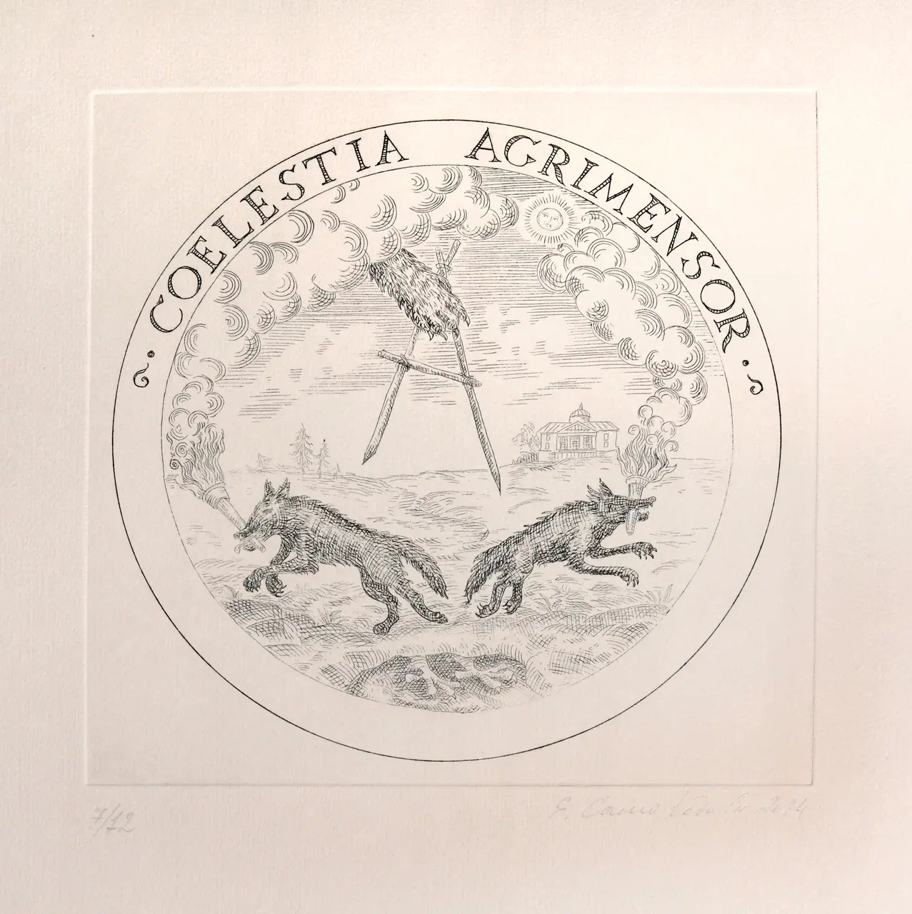 Coelestia Agrimensor