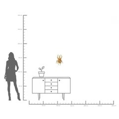 Украшение настенное Atlas Beetle «Жук-атлас», Золотой