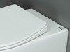 Ceramica Nova Pearl CN8001 Подвесной унитаз c ультра тонким сидением с функцией плавного закрытия, цвет: белый