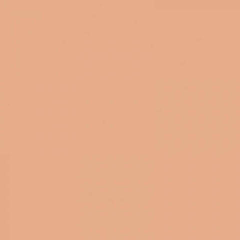 41zero42 Pixel41 Nude 11.5x11.5