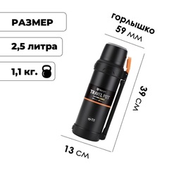 Термос Skully Dkadi KD9059-2.5 Black - 2